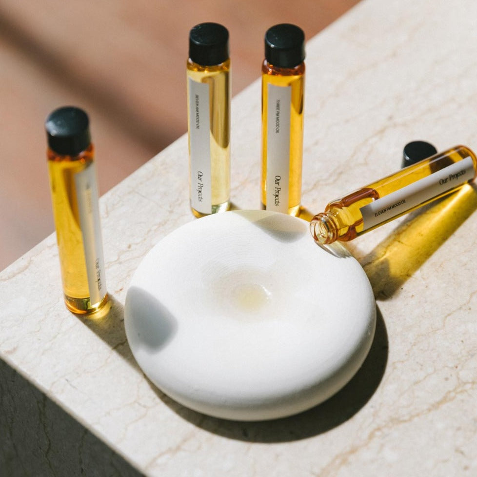 Ceramic Diffuser Stone – Our Projects